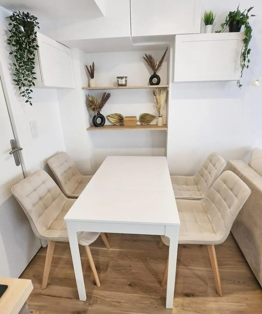 Sublime Joannes Apartment Lyon France